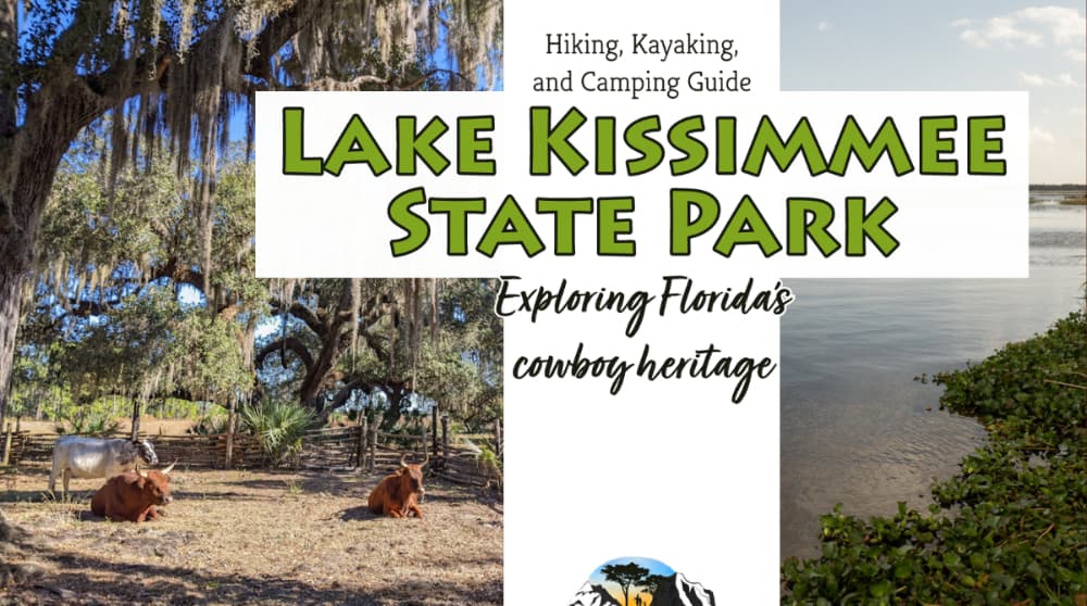 Picture of cows under trees and a lake and the words "Hiking, Kayaking, and Cambing guide; Lake Kissimmee State Park, Exploring Florida's cowboy heritage"