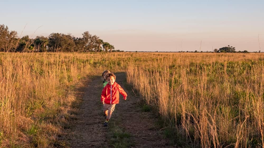 kids running through the prairie