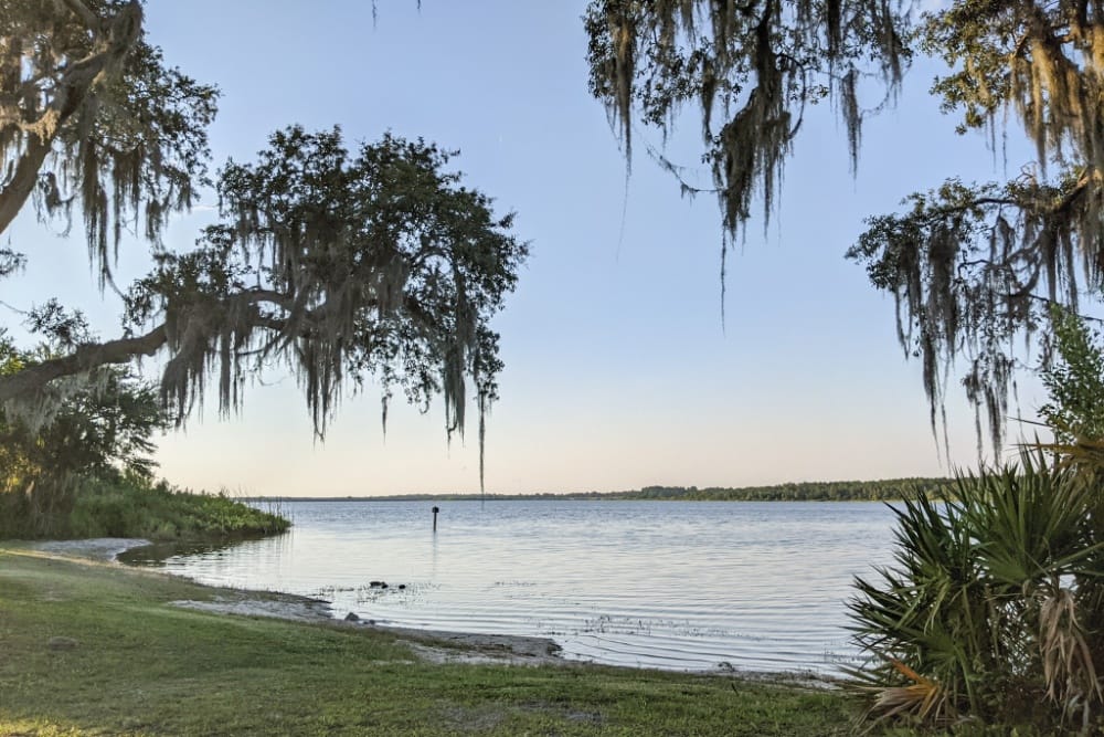 view of Lake Manatee and clear skies through the trees