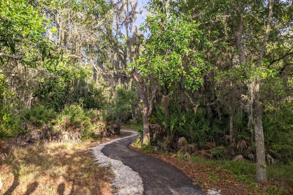 Windy, paved trail through tropical hammock at Lake Manatee State Park