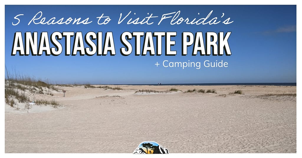 Large expanse of sand with bright blue sky in background and words "5 Reasons to visit Anastasia State Park + Camping Guide"