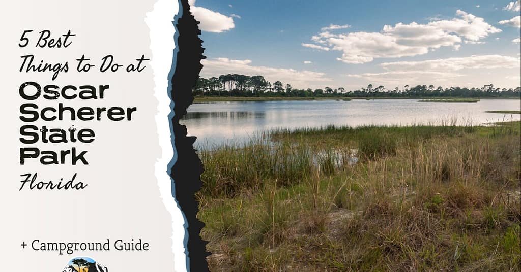 Big lake at Oscar Scherer State Park and the words "5 Best Things to do at Oscar Scherer State Park Florida + Campground Guide"