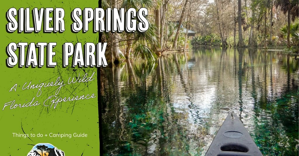 Front of canoe paddling in a clear river among cypress trees and words on top "Silver Springs State Park - A Uniquely Wild Florida Experience - Things to do + Camping Guide"