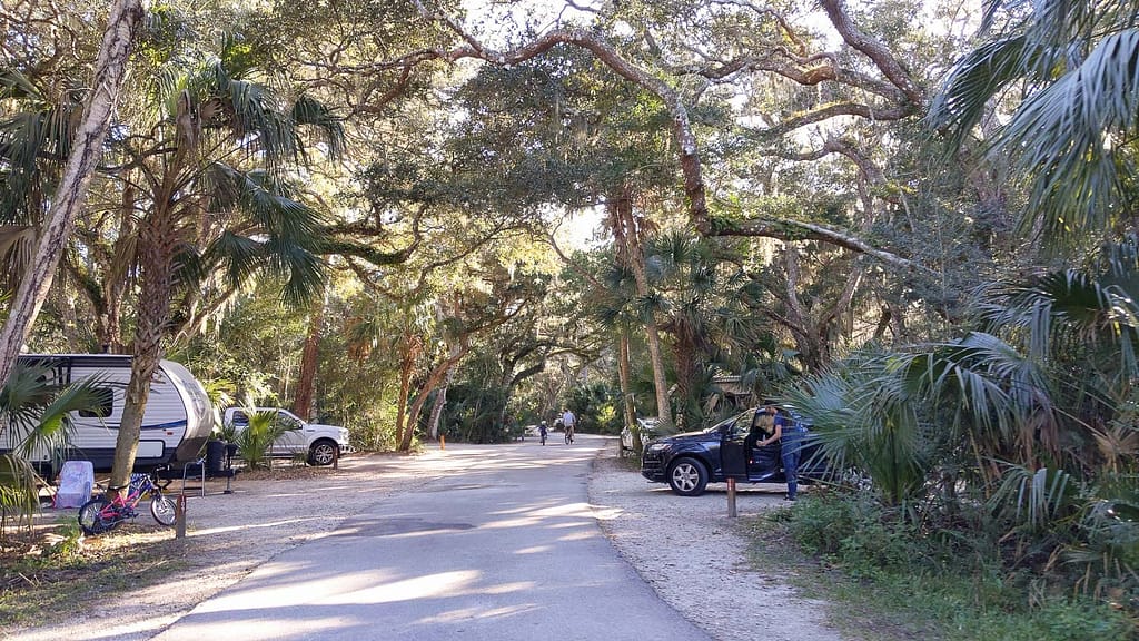 Small, paved, and shady road with campsites on each side in Anastasia State Park