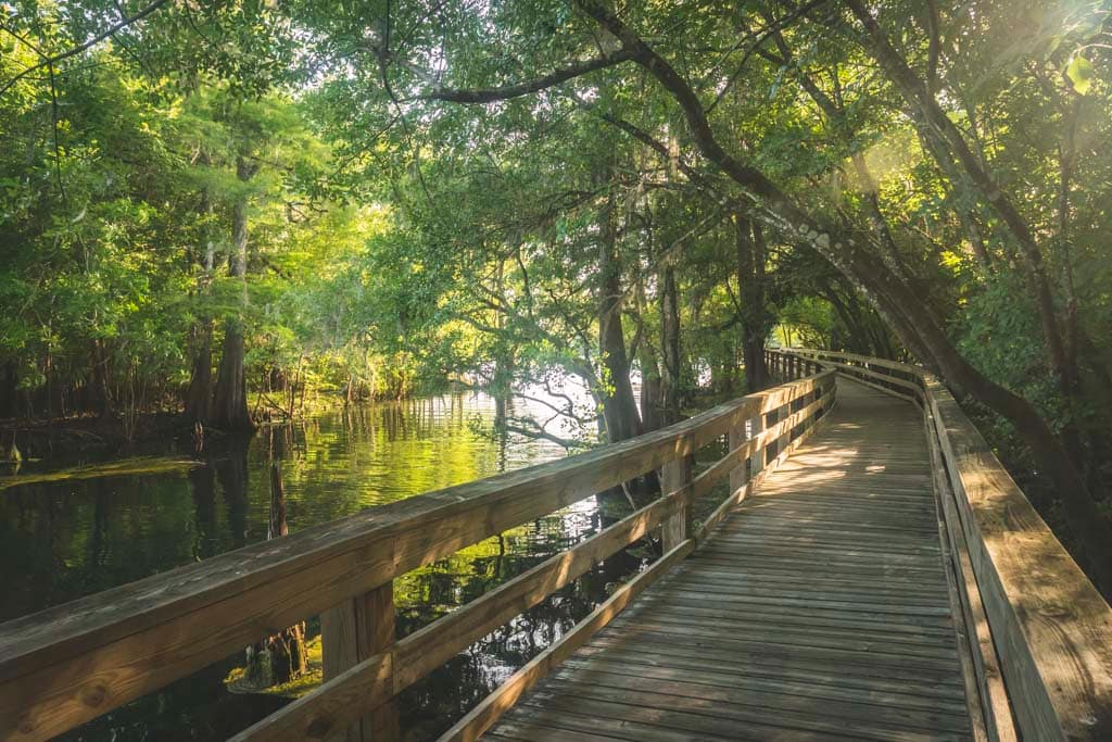 View of boardwalk and Suwanee River in Hart Springs Park.