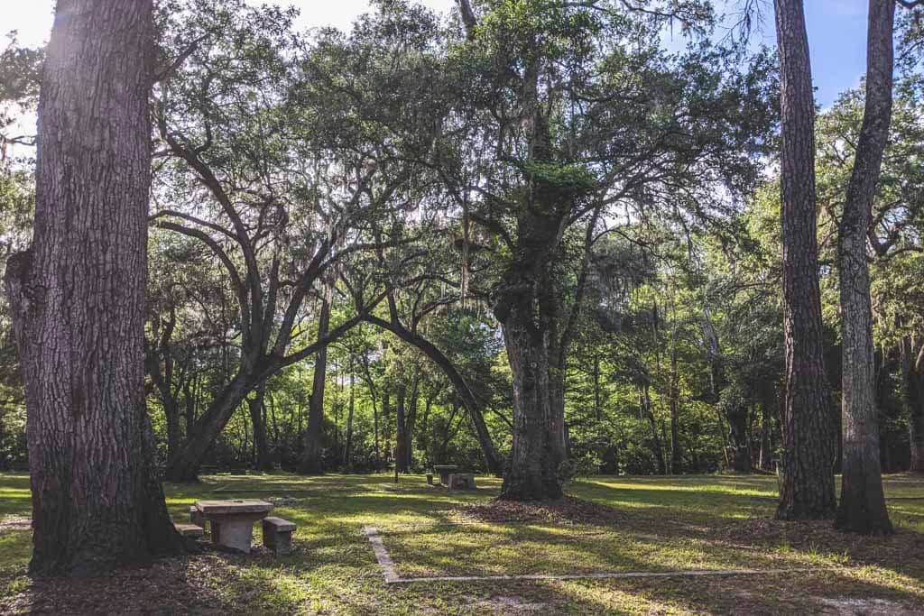 View of tent camping site with table under oak trees in Hart Springs Park.