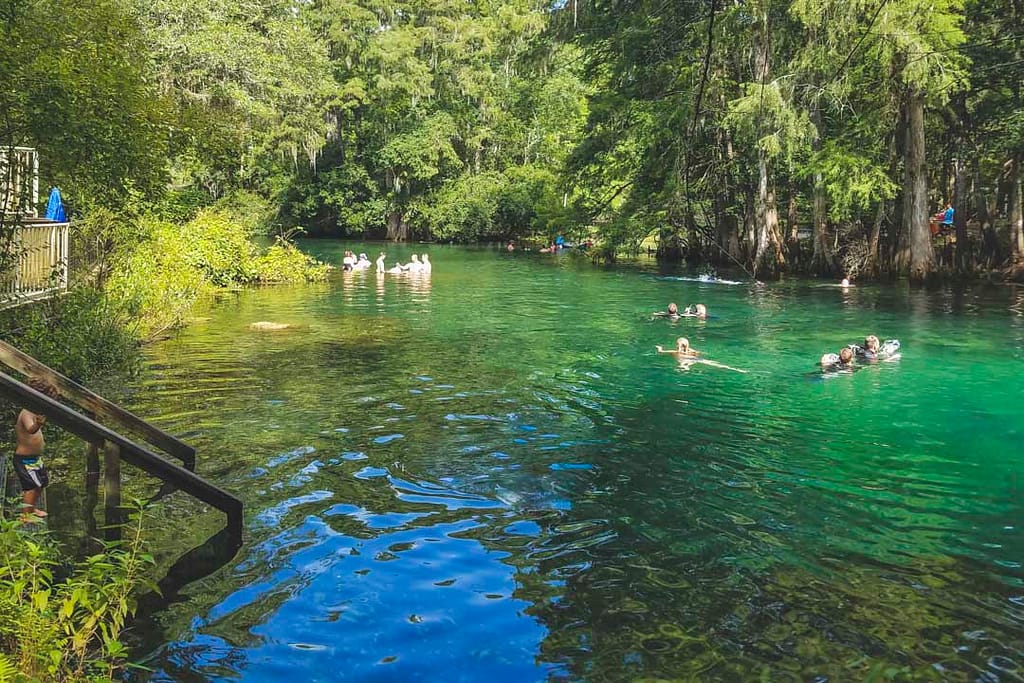 People swimming at the headsprings at Manatee Springs State Park