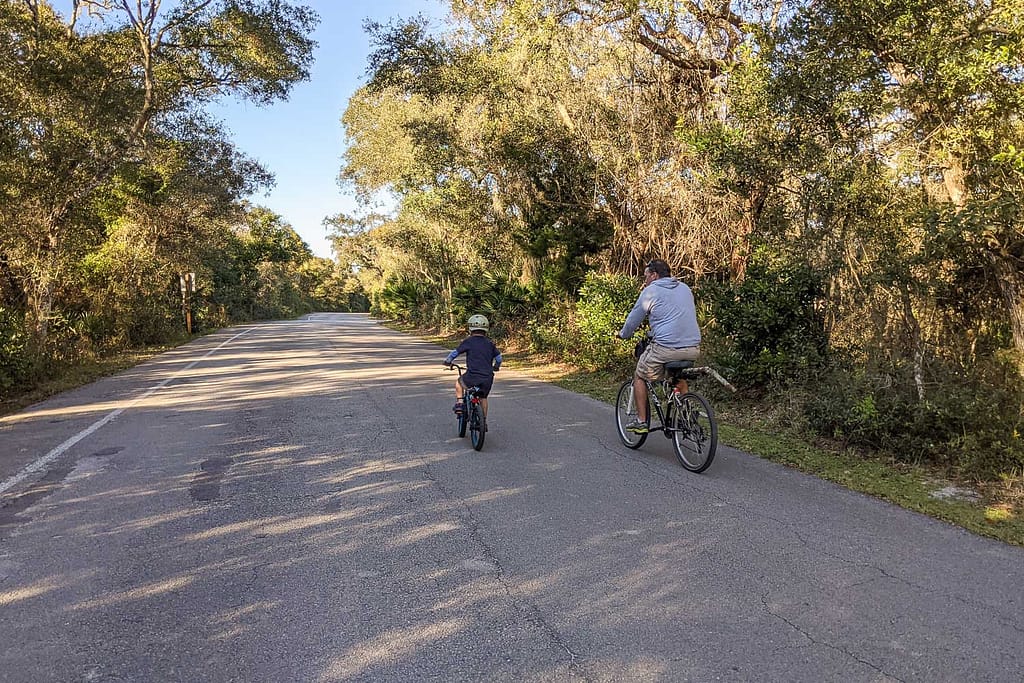 man and a small child biking on a small road with no traffic and lined with some trees