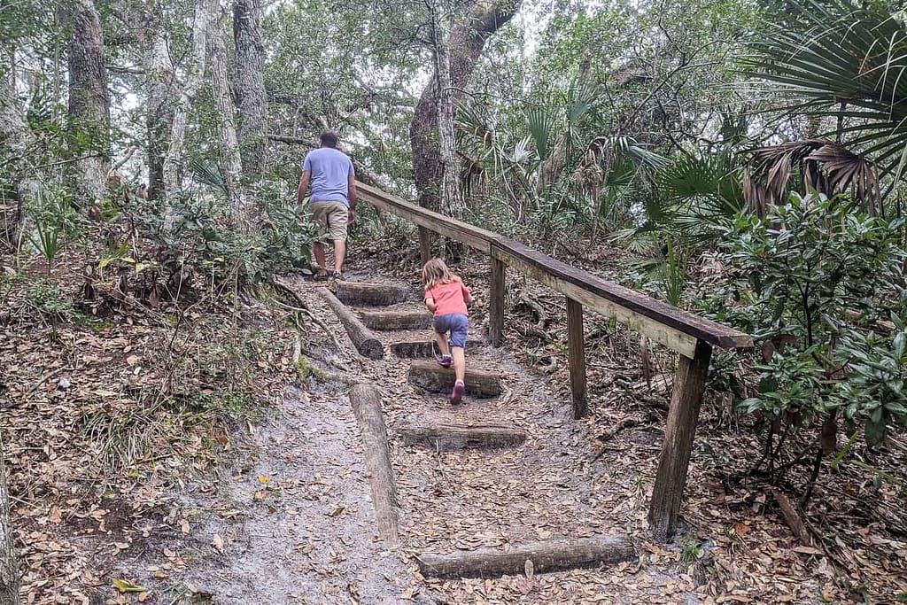 Man and little girl going up log steps to climb over a dune in a nature trail in Anastasia State Park
