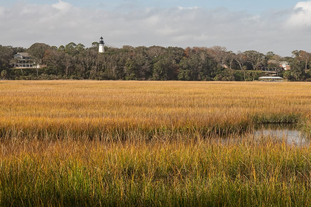 Golden marshes of Egan's Creek with Amelia Lighthouse in the distance