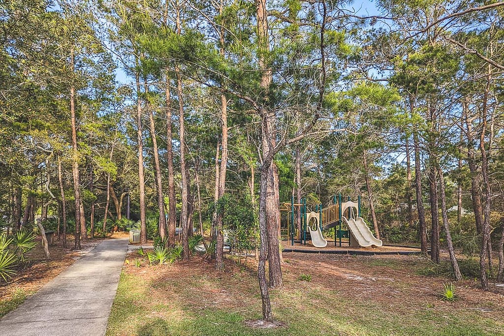 Playground under a canopy of trees