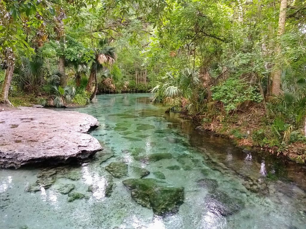 12 Best Florida Springs with Camping