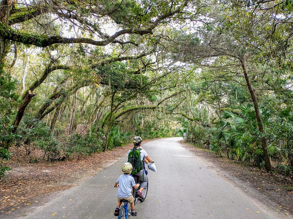 Woman riding bike wearing helmet and small child riding on attached trailer behind woman on a narrow paved road lined and shaded with trees
