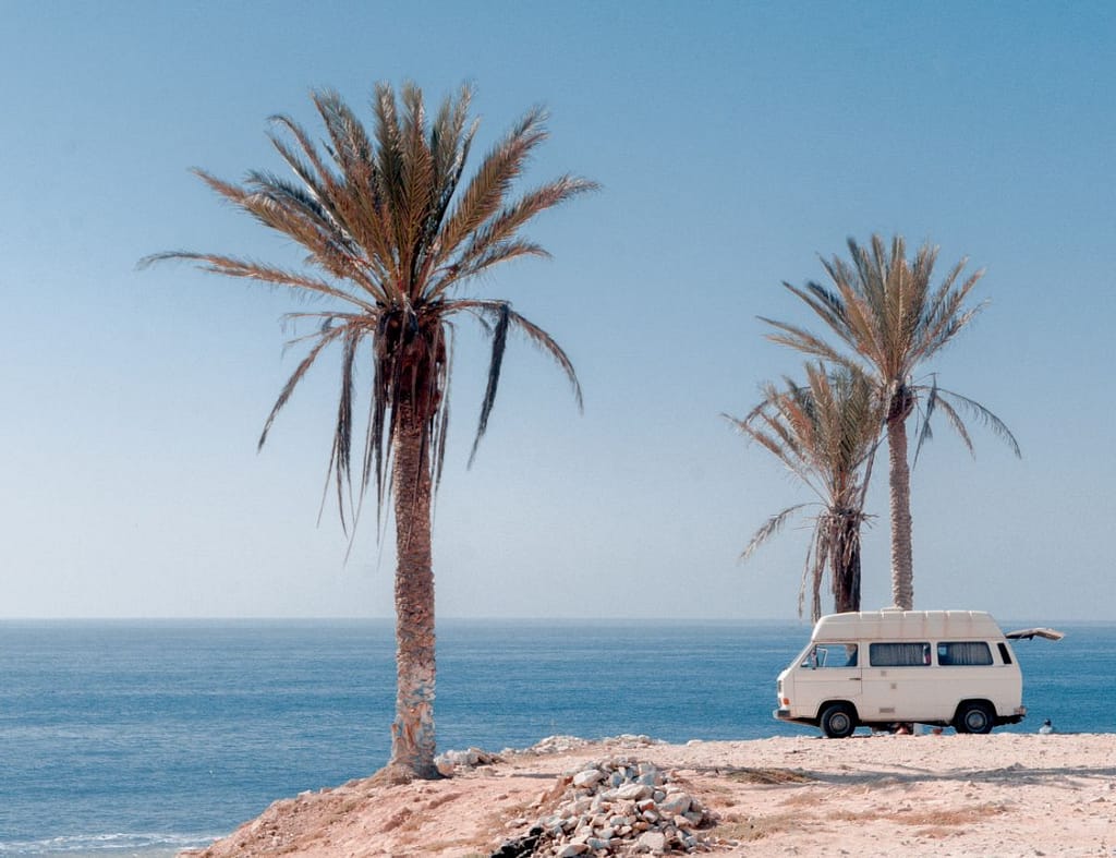 White camper van next to palm tree on the beach on sunny day