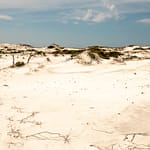 White sand dunes with sparse vegetation under s blue sky at Topsail Hill Preserve State Park