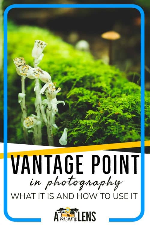 Vantage point photography PIN graphic