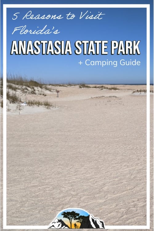 Anastasia State Park Pin graphic