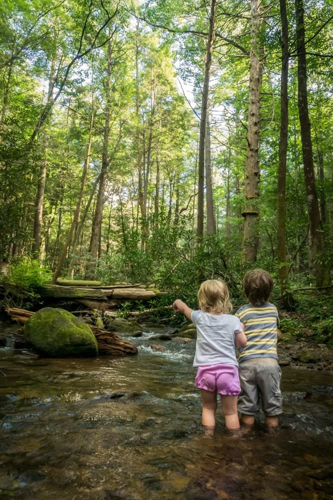 boy and girl playing in natural stream