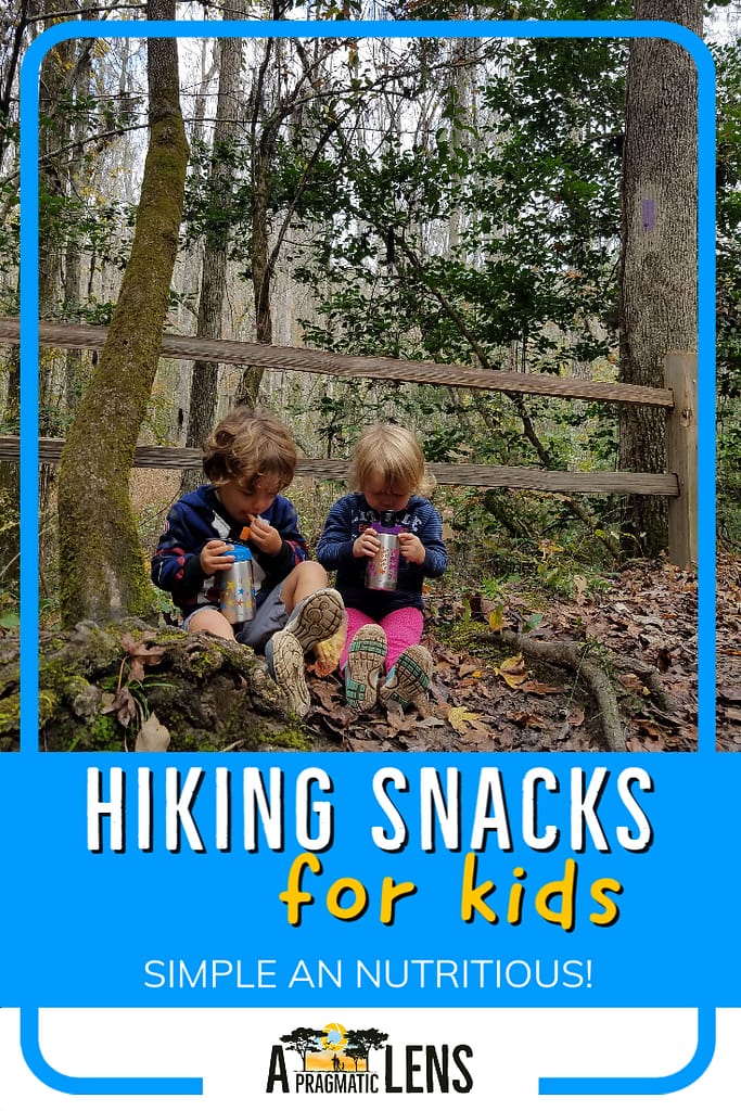Best Hiking Snacks for Families: Simple And Nutritious! - A Pragmatic Lens