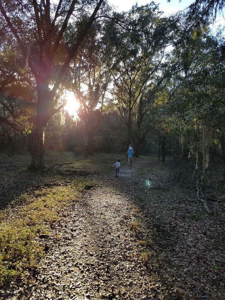 man and two little children walking on shady Bolen Bluff trail