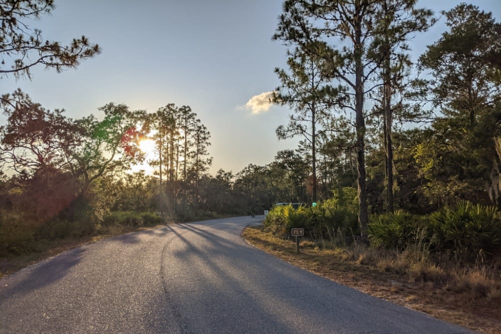 Paved road in good condition at Lake Manatee State Park