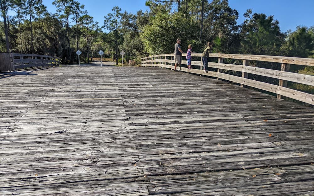wide wooden bridge as seen from a low perspective