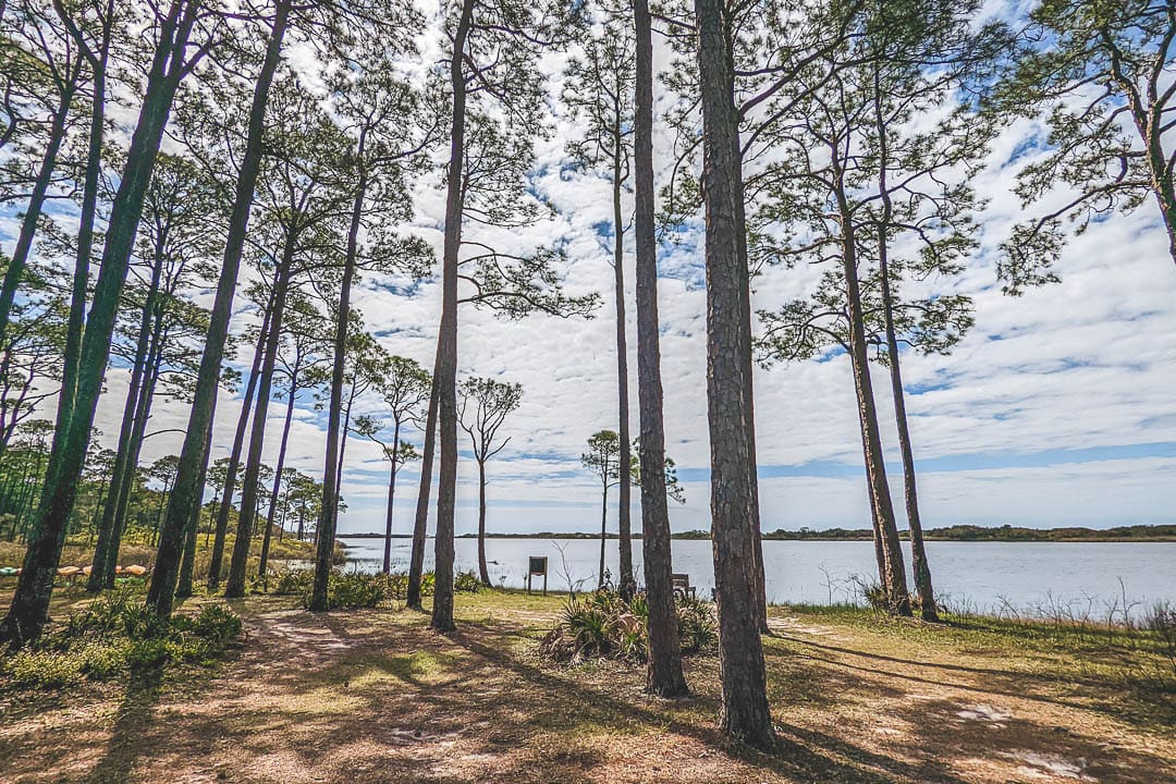View of Campbell Lake from behind the pine trees at Topsail Hill Preserve State Park