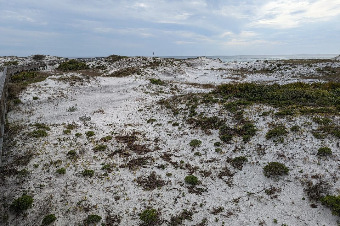 view of dunes and vegetation at Topsail Hill Preserve State Park